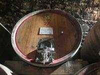 im Weinkeller von Schloss Rametz