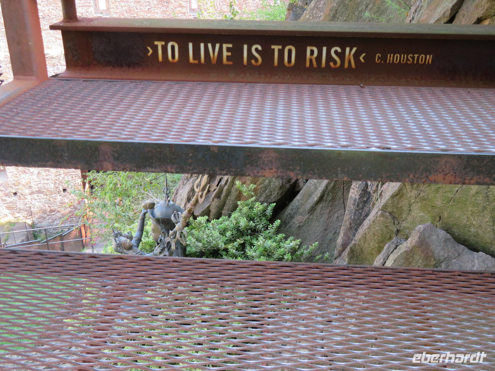 Leben heißt Riskieren!