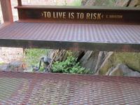 Leben heißt Riskieren!