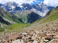 Südtirol, Vinschgau, Sulden, Blick vom Rosimboden zum Ortler rechts und Königsspitze links