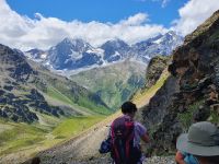Blick zum Ortler rechts und Königspitze links