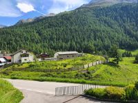 Südtirol, Sulden, Yaks am MMM Ortles