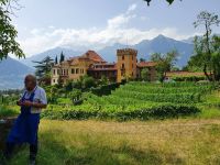 Südtirol, Weingut Rametz bei Meran