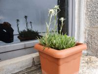 Provinz Belluno, MMM Monte Rite