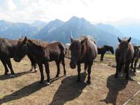 Kronplatz
