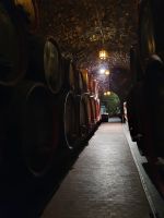 Südtirol, Weingut Rametz, Weinkeller