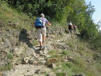 Waalweg nach Juval