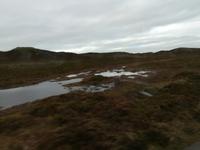 In den Dünen auf Sylt.