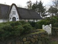 Steinmauer mit Sylter Rose als Hecke, die berühmte Einzäunung eines Grundstückes.