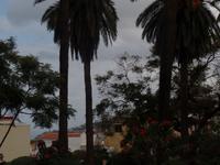  La Orotova 