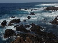  Puerto de la Cruz