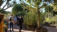 AIDAcara, Gran Canaria, Botanischer Garten