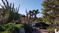 AIDAcara, Gran Canaria, Botanischer Garten