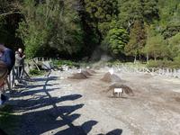 AIDAcara, Azoren, Insel Sao Miguel, Furnas, 