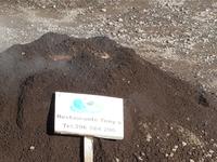 AIDAcara, Azoren, Insel Sao Miguel, Furnas, 