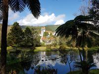 AIDAcara, Azoren, Insel Sao Miguel, Furnas, Terra Nostra Park