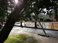 AIDAcara, Azoren, Insel Sao Miguel, Furnas, Terra Nostra Park, Thermalpool