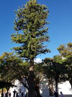 20190117_094254