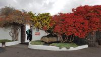 AIDAcara, Lancarote, Foundation Cesar Manrique