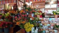 AIDAcara, Madeira, Funchal, Markthalle
