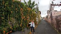 AIDAcara, Madeira, Funchal