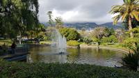 AIDAcara, Madeira, Funchal