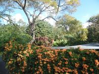 Funchal