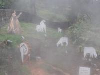 Furnas 