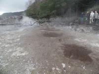 Furnas See