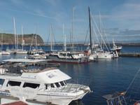 Horta