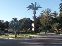 Las Palmas