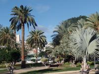 Las Palmas