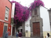 Las Palmas