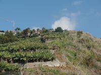 Madeira 