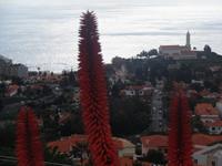 Madeira 