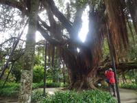 Park Terra Nosta