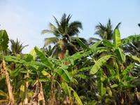 Tag 4 - 04 - Fahrt mit dem Speedboot zu den Schwimmenden Märkten (4)