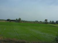 Tag 5 - 1 - Fahrt durch die zentralthailändische Ebene (2)