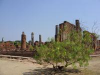 Tag 5 - 3 - Ayutthaya - Königstempel (10)