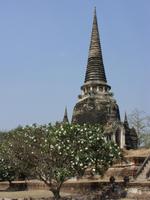 Tag 5 - 3 - Ayutthaya - Königstempel (8)