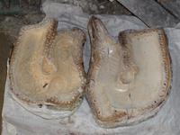 Tag 6 - 01 - Besichtigung einer Buddhafigurengießerei (4)