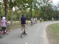 Tag 6 - 02 - Wir entdecken den Sukhothai Historial Park per Rad und Rikscha (7)