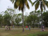 Tag 6 - 04 - Stopp am Lotusblumenteich (1)