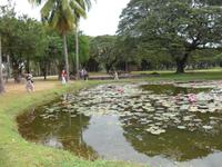 Tag 6 - 04 - Stopp am Lotusblumenteich (2)