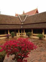 031 eine wahre Pracht an Blumen