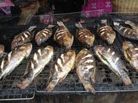 089 Fische werden gegrillt