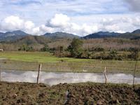 207 Bewirtschaftung der Reisfelder