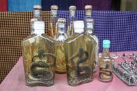 225 und noch mehr Schlangen