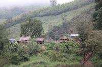 257 es wird immer ursprünglicher