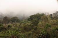 258 und Nebel zieht auf